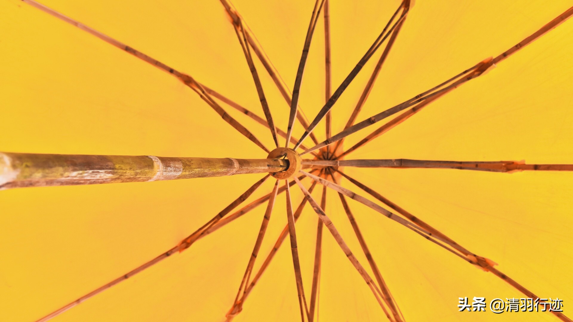 手艺传承之油纸伞,油纸伞工艺传承背后的故事