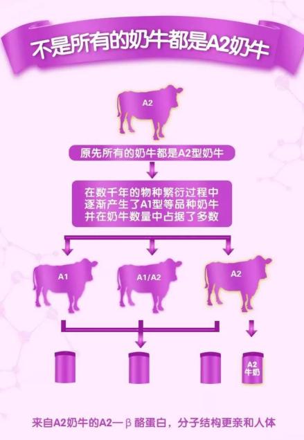 a2有机羊奶粉,有机奶粉和羊奶比哪个好