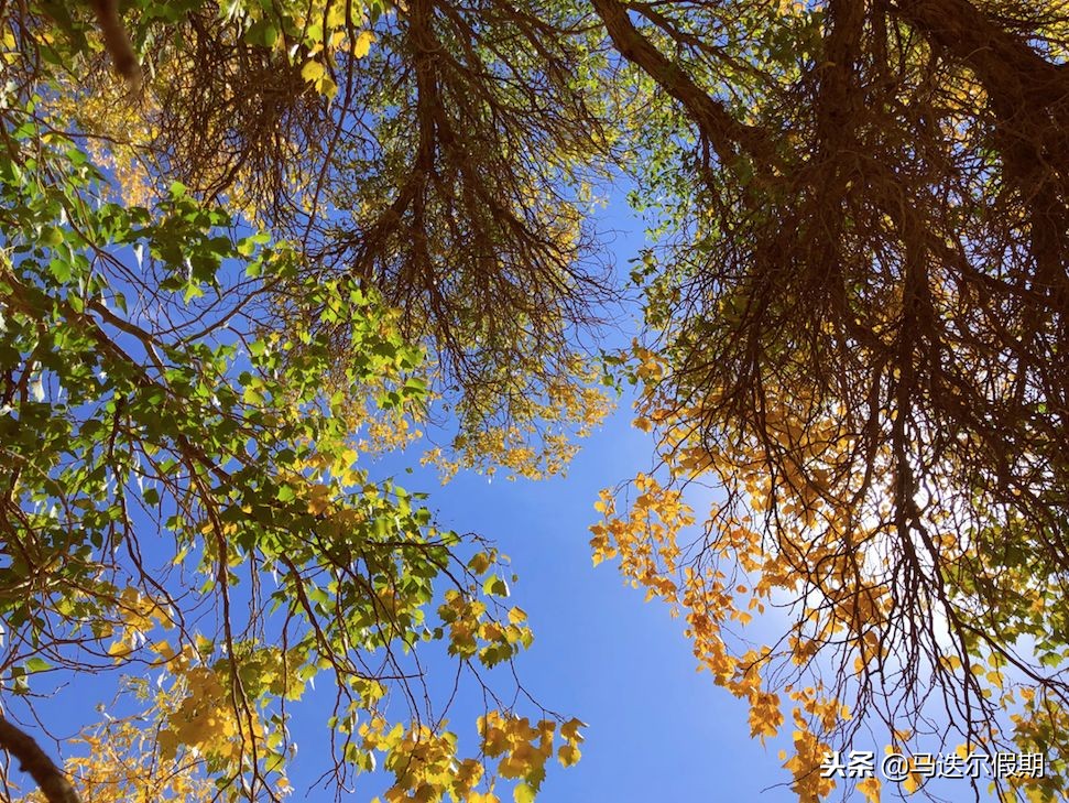 2018年春节拼假攻略,拼假14天最佳时间表