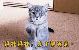 英雄联盟十大最强英雄排名,英雄联盟历史最强的五个位置