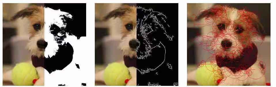 11个ai和机器学习模型的开源框架,机器学习开源框架大全交流