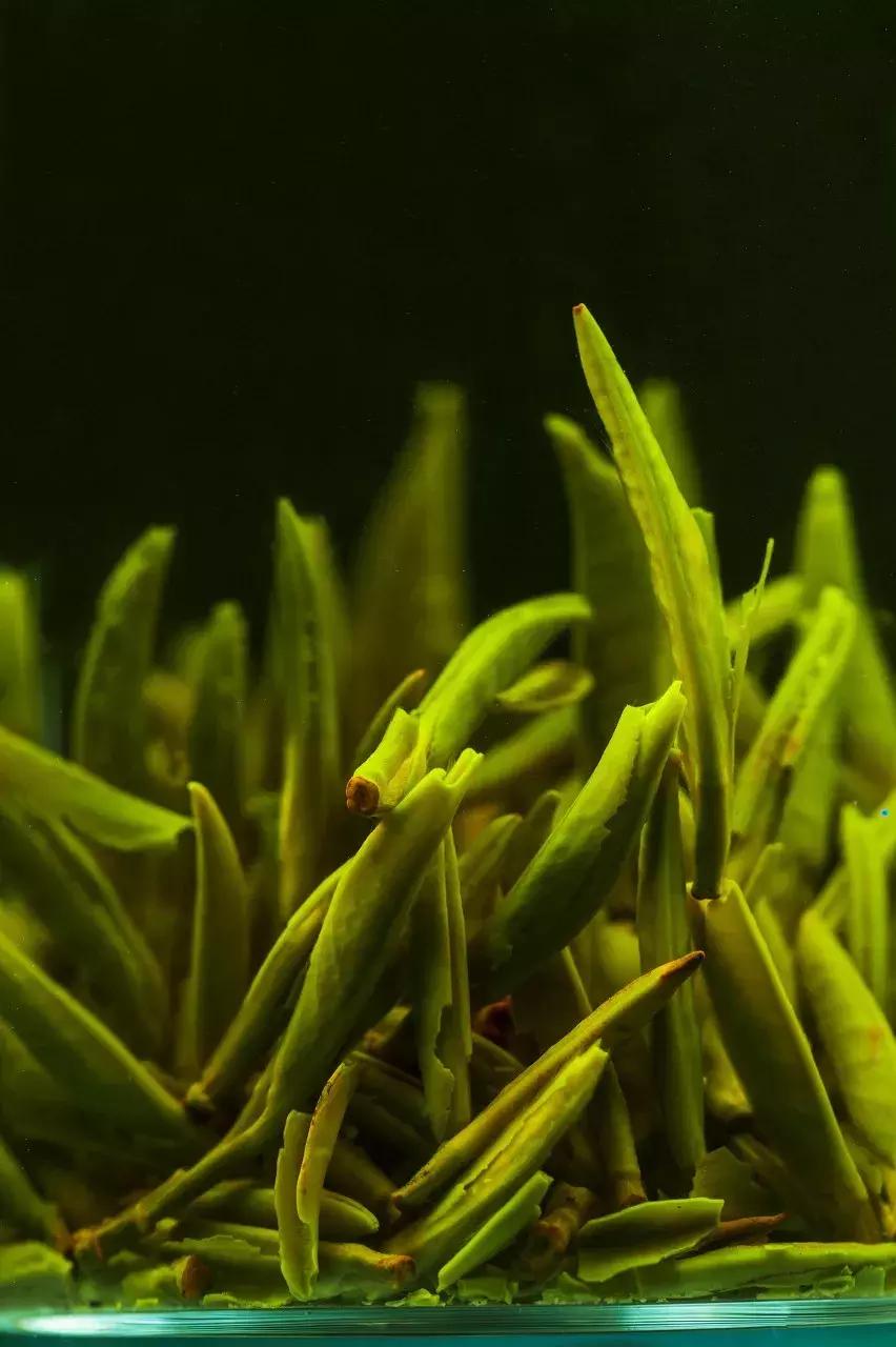 中国十大名茶叶排名一览表,顶级茶叶品牌排行榜