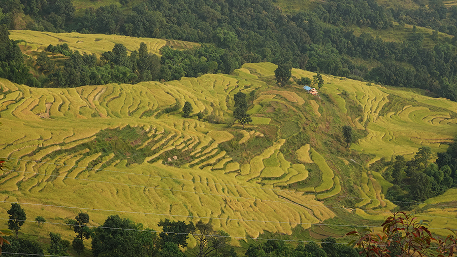 尼泊尔十堰,尼泊尔为什么这么穷