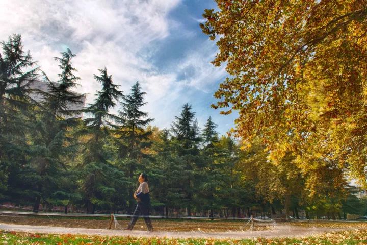 郑州漂亮的秋色风景,郑州的这些湖畔藏着最美的秋色