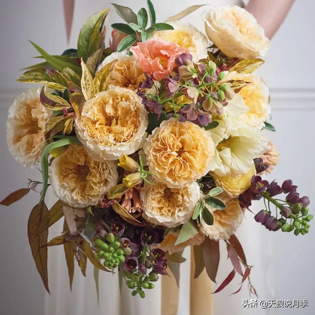 520你最想收到什么玫瑰,520这样的玫瑰你们喜欢吗