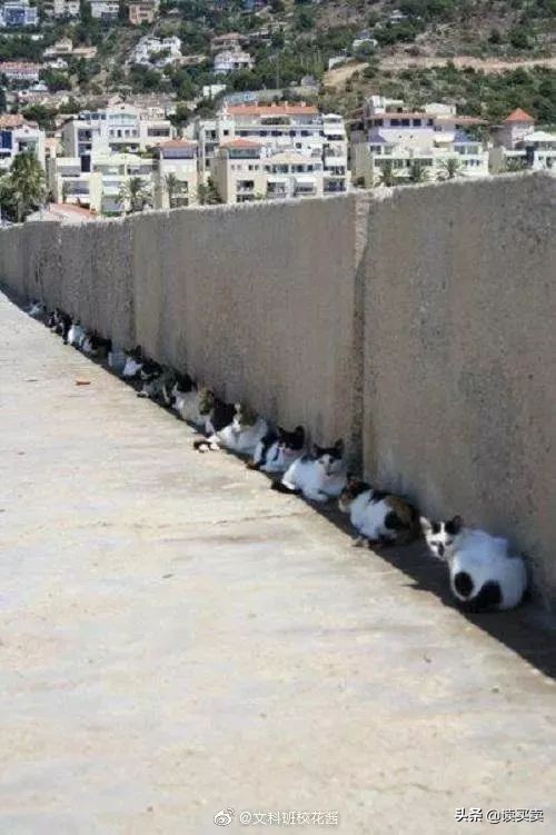 怎么判断男生直不直男,如何判断一个男生直不直