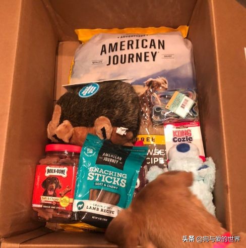 鏅氫笂瀹堕噷杩涗簡涓嶆槑鐢熺墿,鐢峰瓙鍗婂鍥炲閬囦笂涓嶆槑鐢熺墿