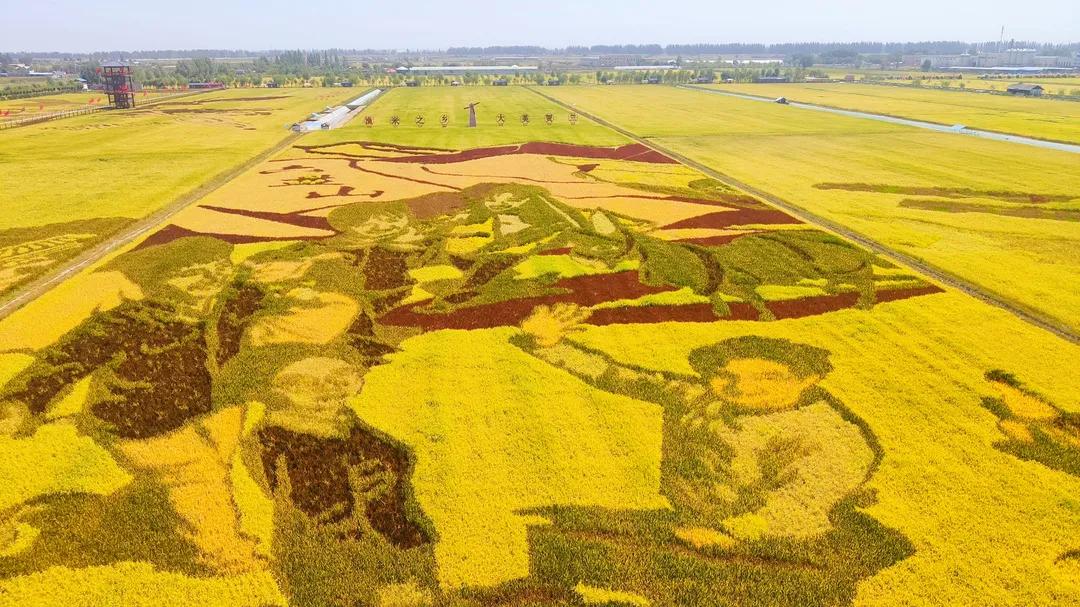 秋天银川旅游线路推荐,银川的秋天