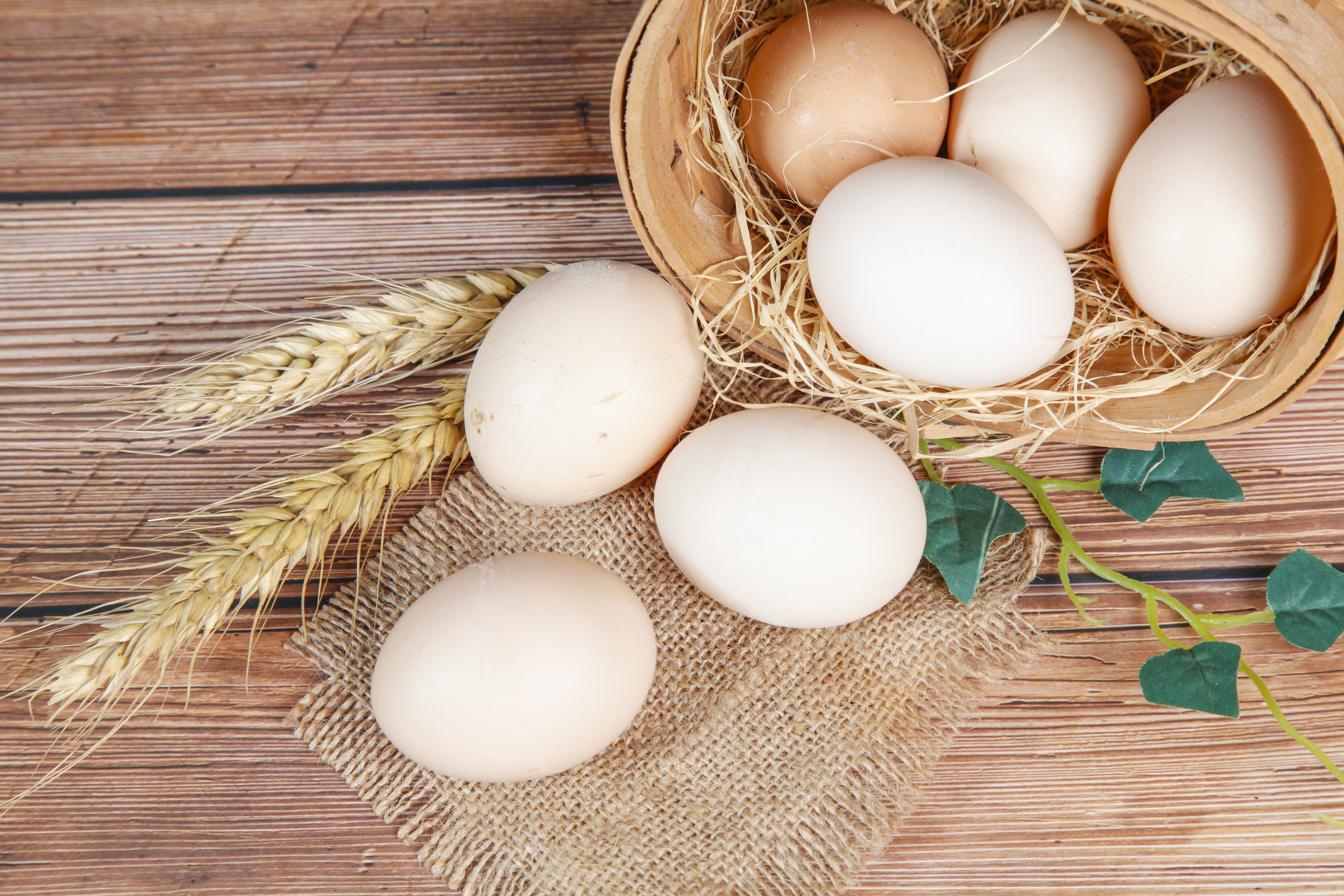 鸡蛋只吃蛋白会变胖吗,鸡蛋蛋白吃多会发胖吗