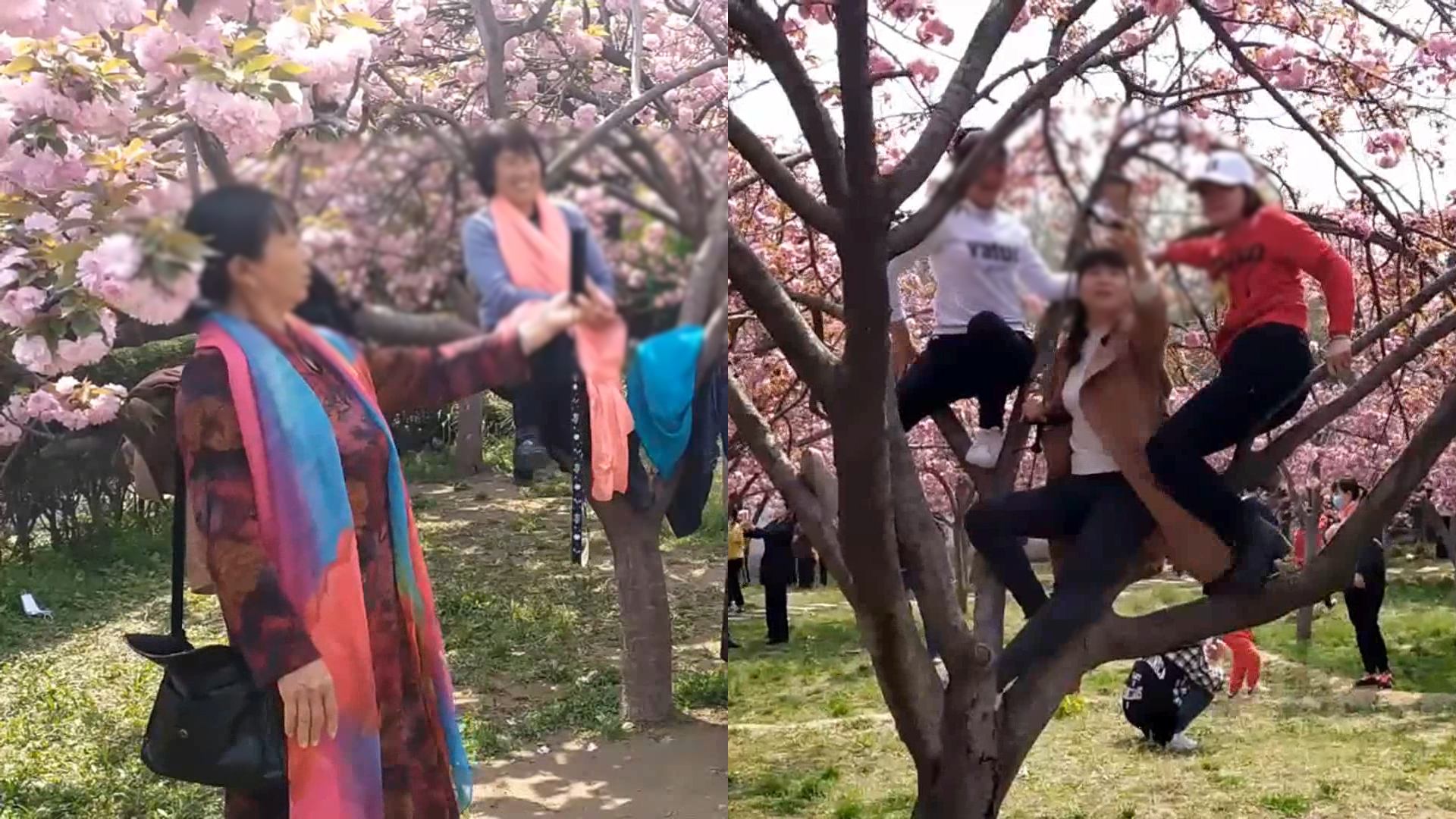 大妈旅游没素质被骂,大妈国外旅游不文明行为