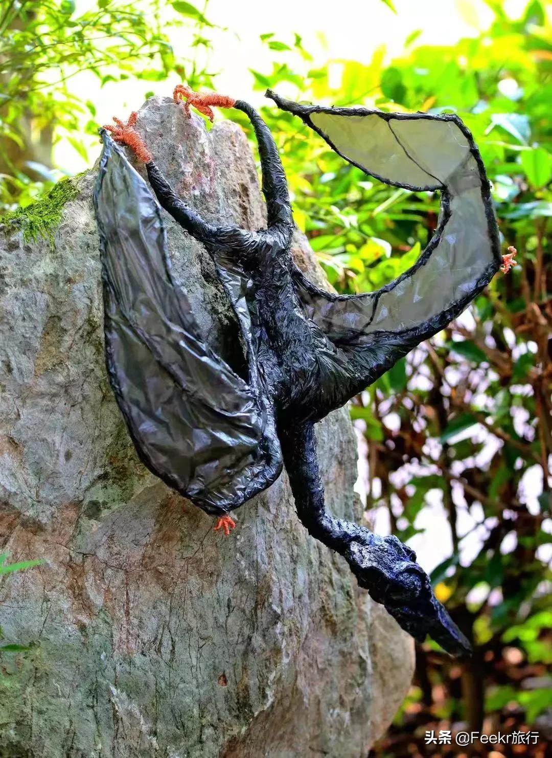 戒纸一年、减塑生活…这个95后女孩，用硬核环保方式火遍全网