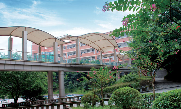 重庆育才中学数学试题,重庆市育才中学数学试题