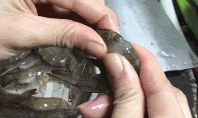 冰冻虾怎么做才能保证虾的鲜嫩,白灼虾是活虾还是冻虾好