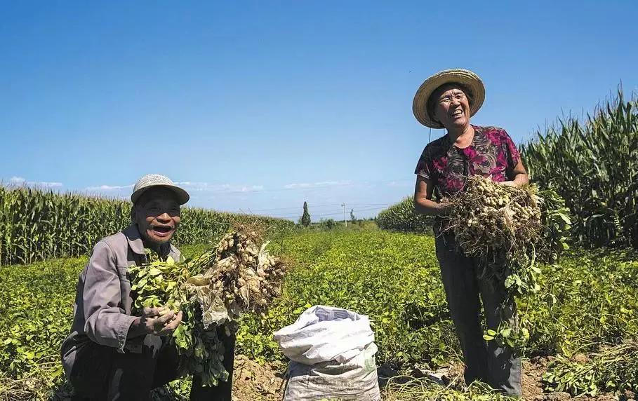 紧急提醒这些人务必第一时间就诊,紧急通知全员归队