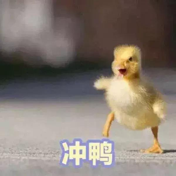 淘宝直播电商入门知识教程,淘宝电商直播问题