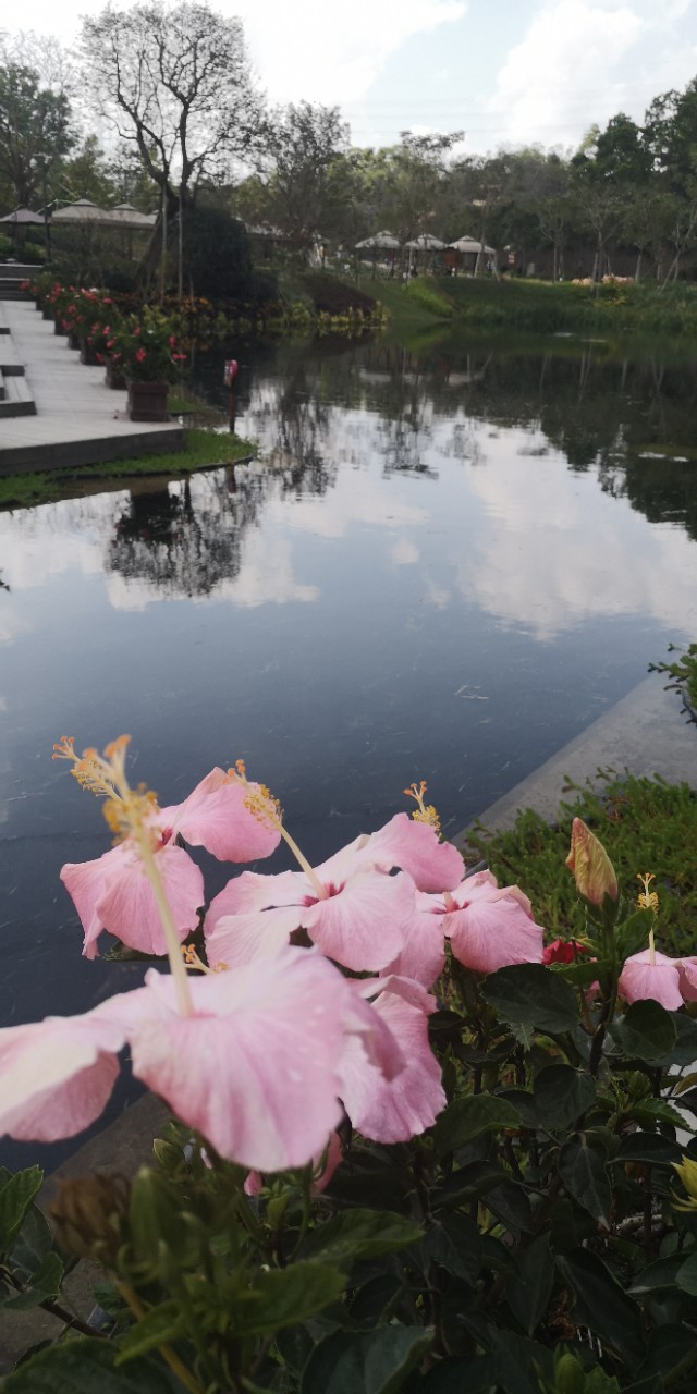 深圳甘坑客家小镇春节旅游,深圳古镇甘坑客家小镇攻略