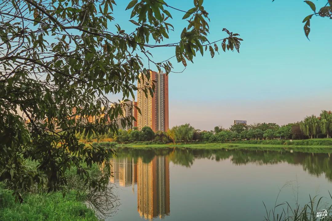 30+公园在路上，荆州又要“补绿”了