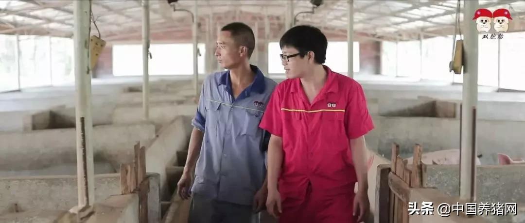 简单养猪致富项目,跟双胞胎合作养猪需要投多少钱
