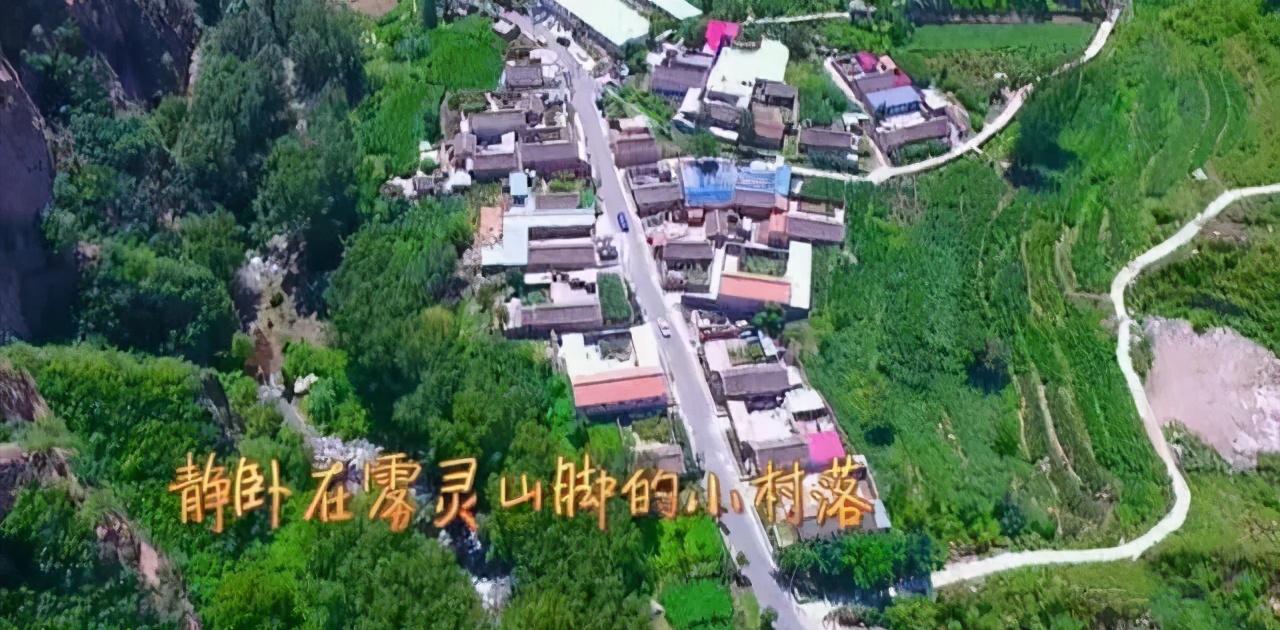 成都pk郑州哪个强,成都跟郑州谁更强