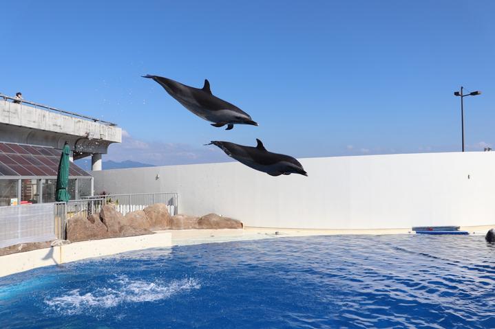 日本九州七星列车,日本九州列车