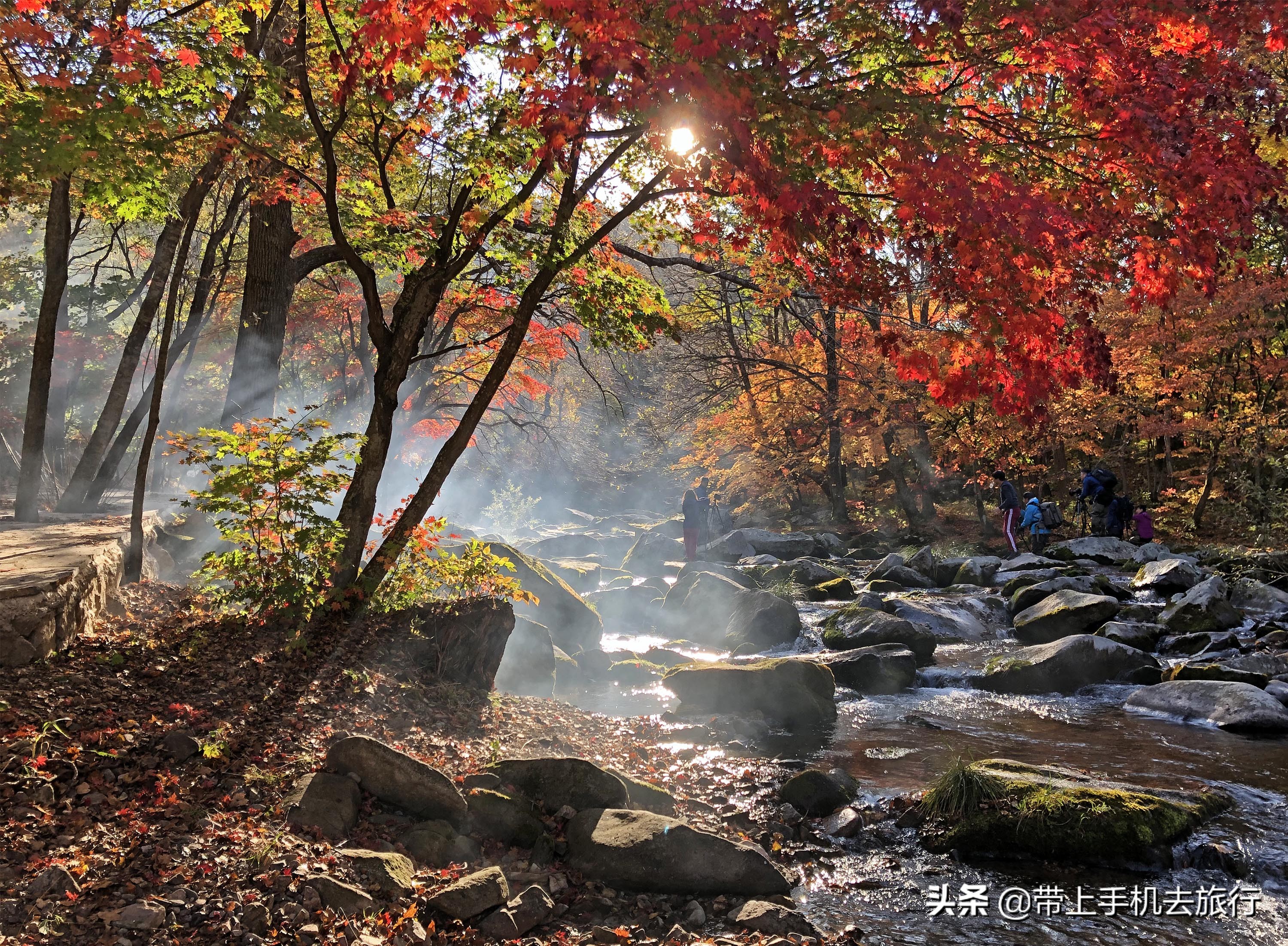 手机拍什么画面好看又清晰,如何让手机拍摄出的画面更够质感