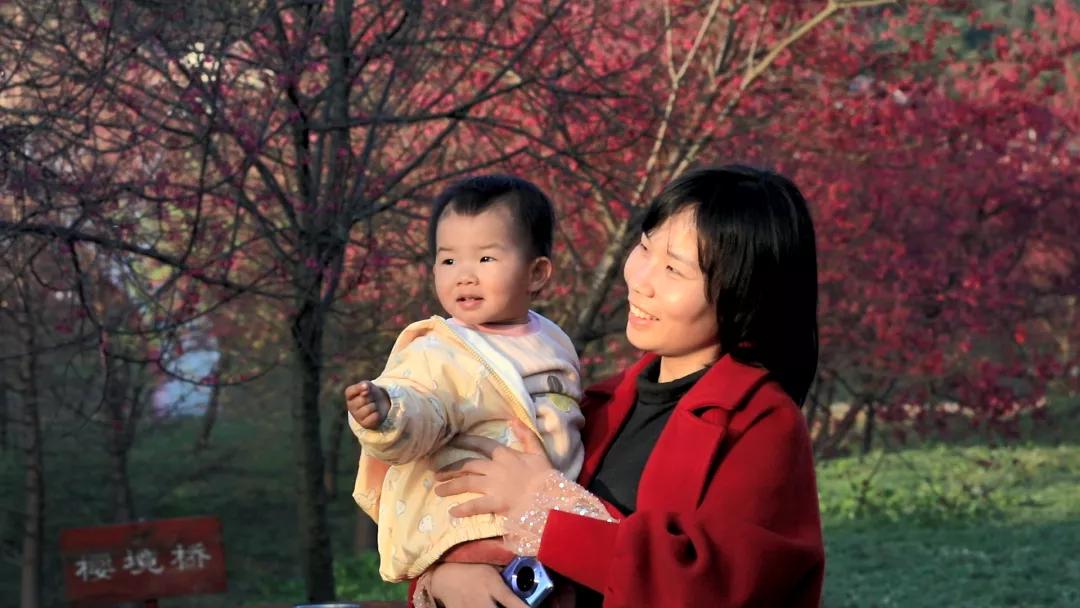 好嗨“游”（11）|这一片早樱还不去赏，错过又得等一年