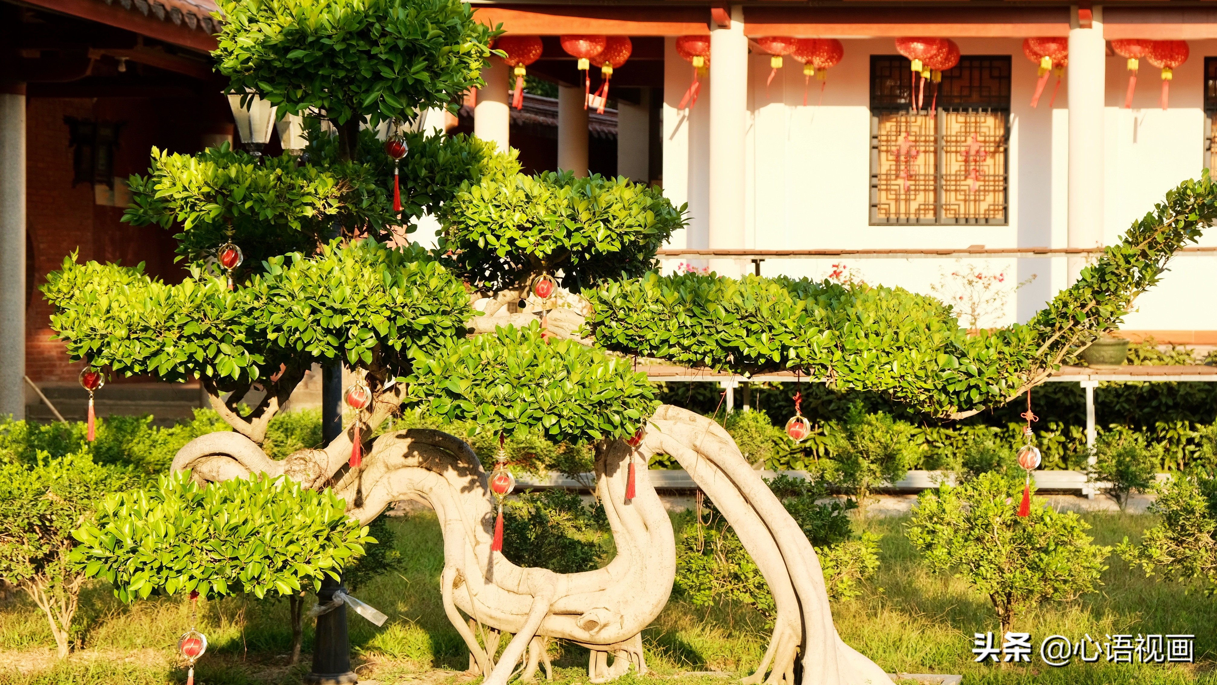 漳州花海风景区景点,漳州花海景区