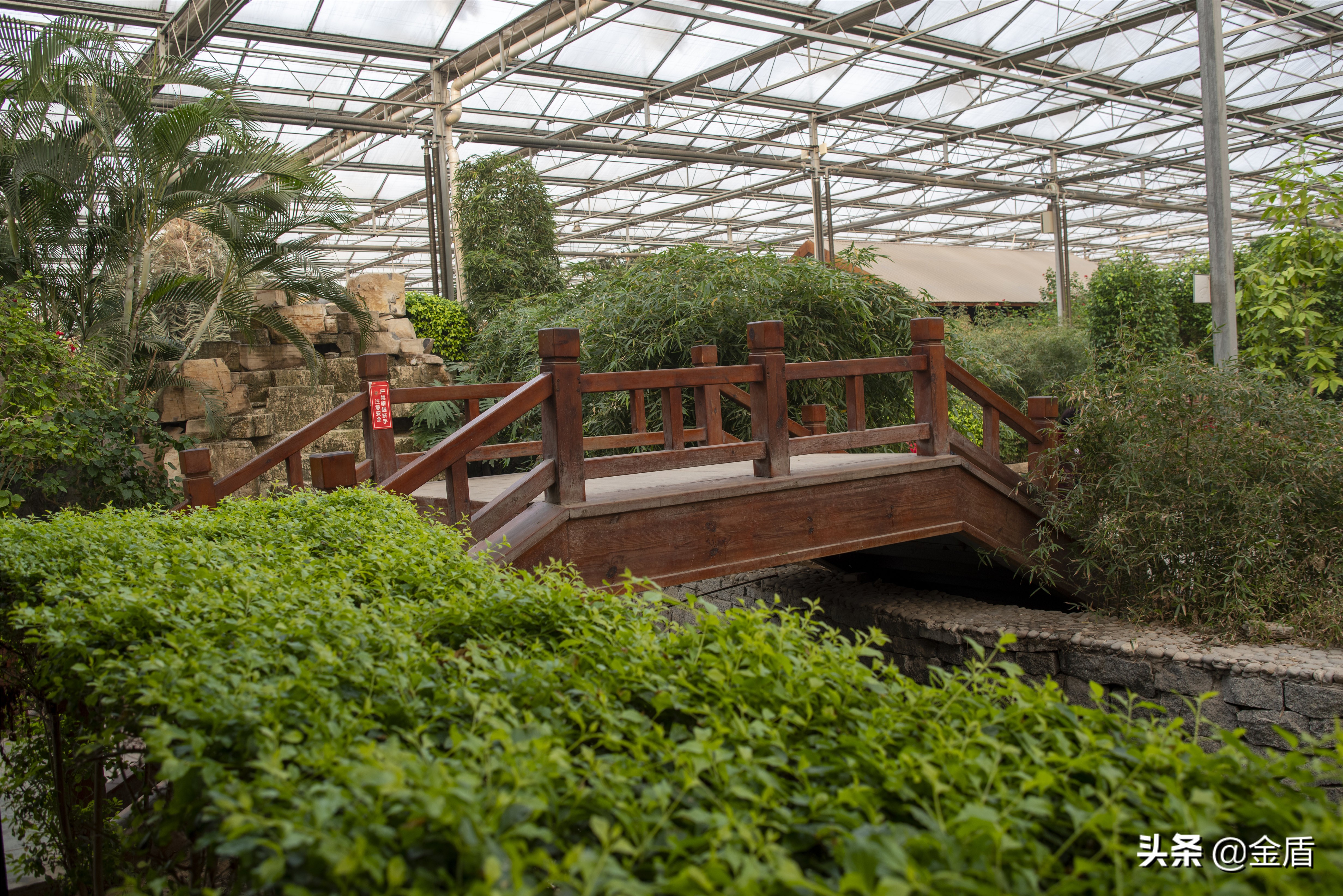 九天休闲谷欢迎您游玩,九天休闲谷适合春天去吗