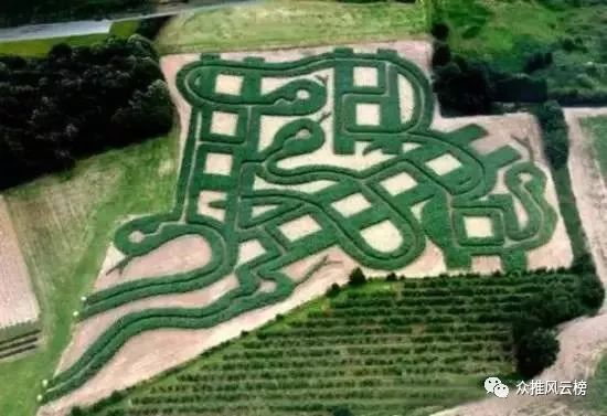 世界最大的迷宫在哪里,世界上排名第一的迷宫