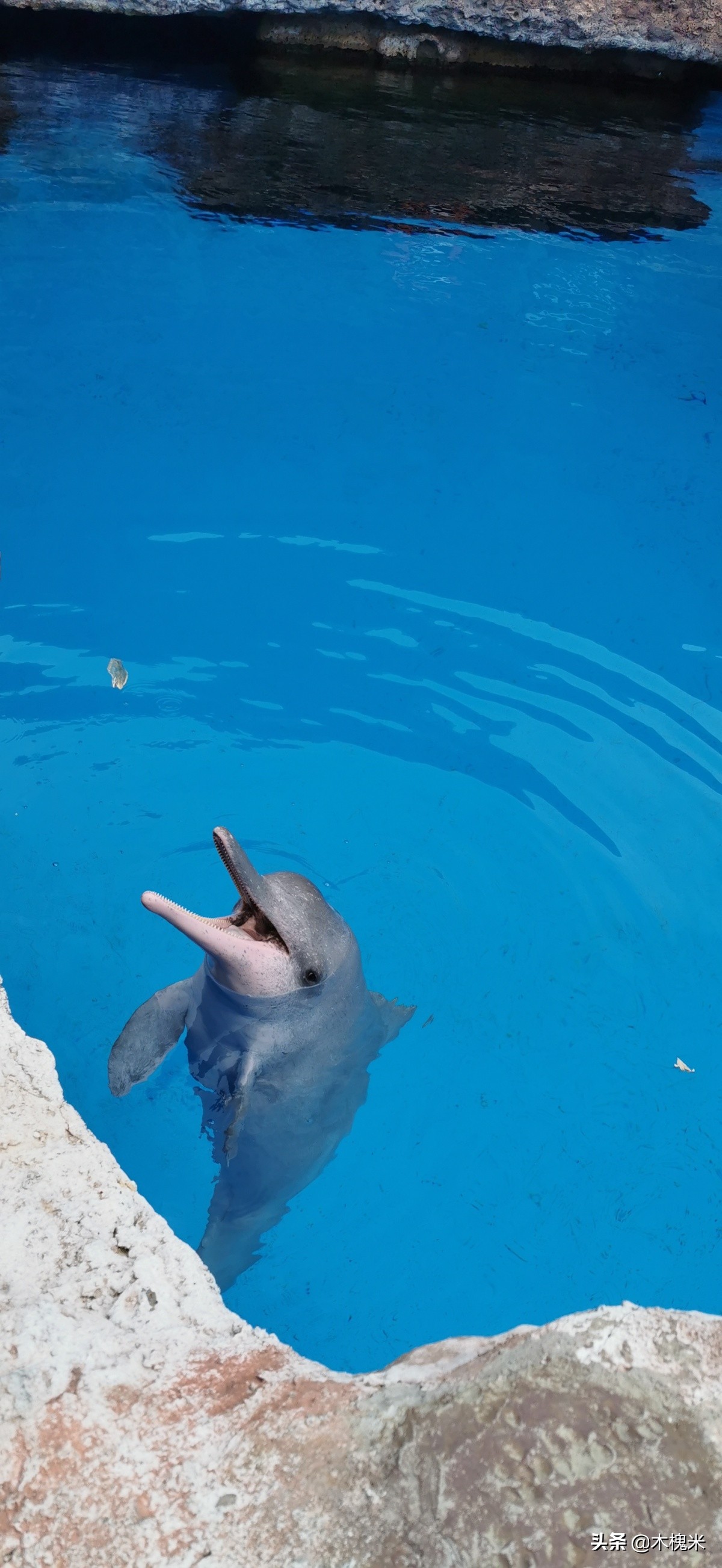珠海长隆附近美食,珠海长隆海洋王国海底世界