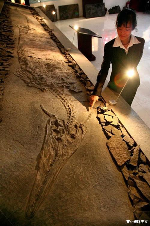 上古神兽龙真实存在过吗,自然传奇的奇异神兽龙是真的吗
