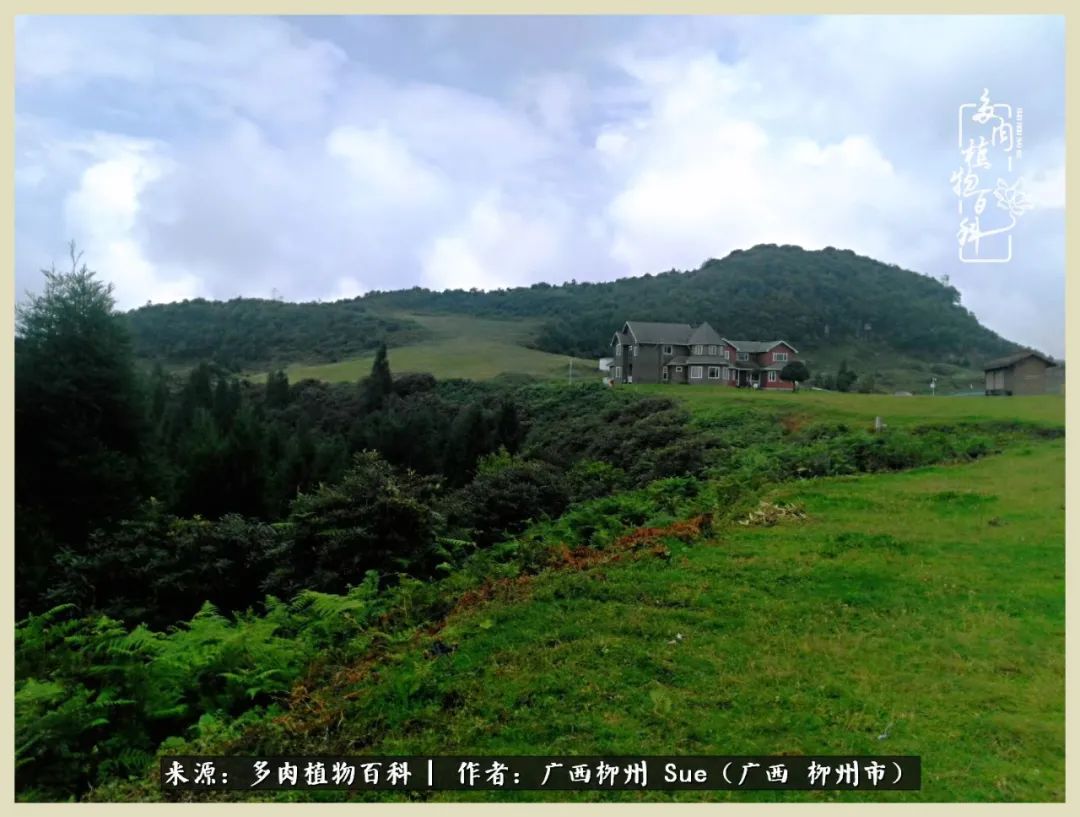 艳阳高照凉爽贵州，我要勤快地捕捉美好！（二）
