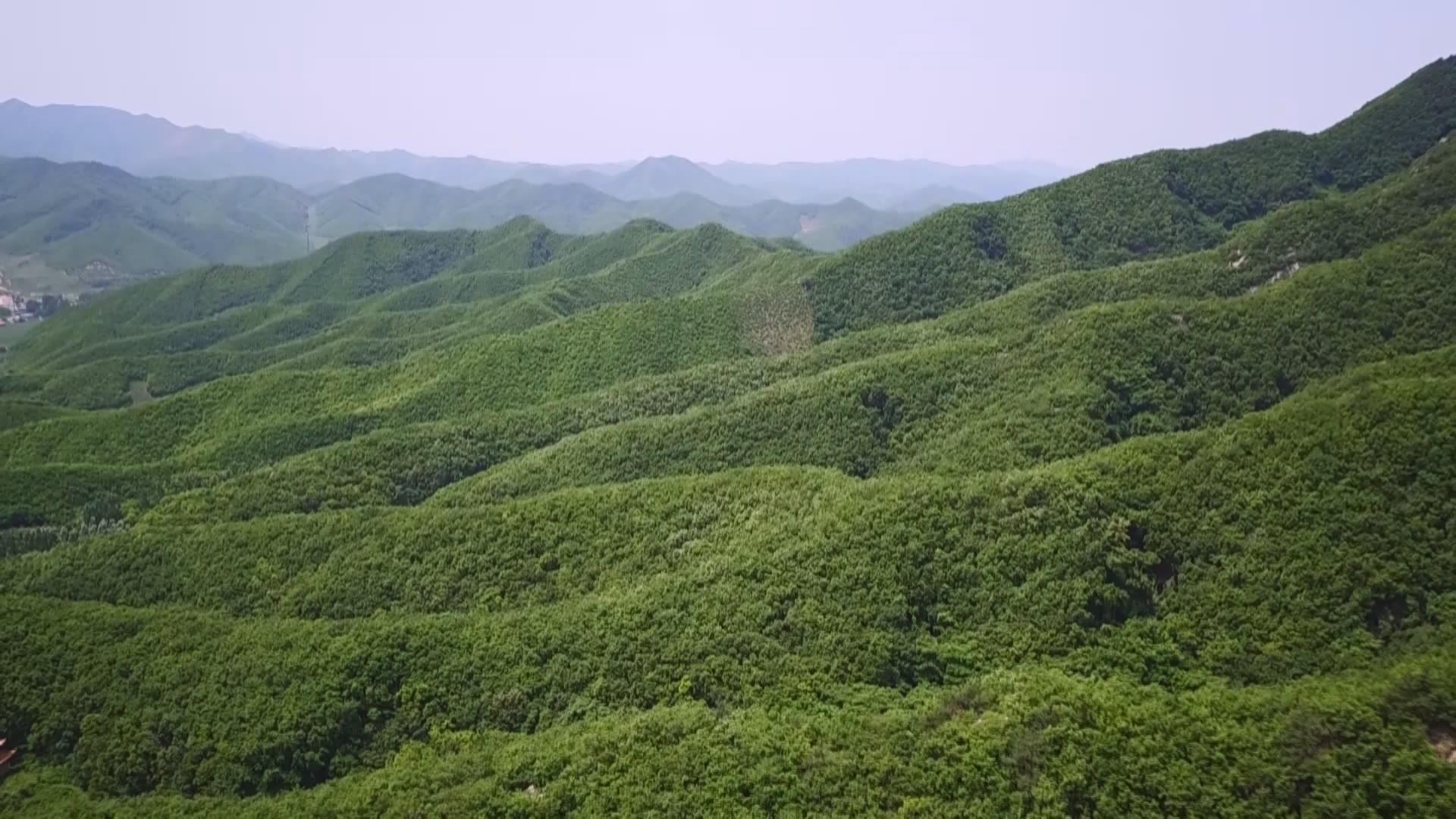 鞍山7月本地新闻头条,2019年6月25日鞍山日报