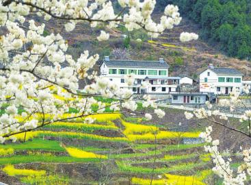 春已来踏青去,春已来花将开