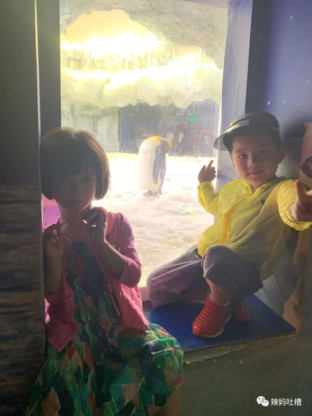 珠海长隆企鹅海洋王国攻略,珠海长隆海洋王国攻略2天亲子游