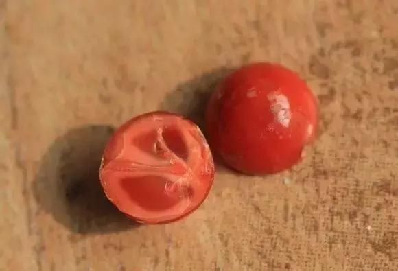 原来这些石头都是烤箱里做出来的,各种各样的石头做法