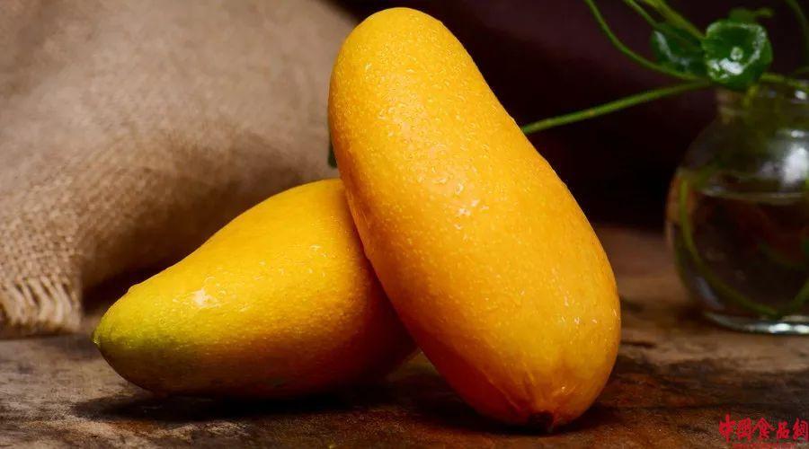 轻松催熟未熟芒果小技巧大揭秘,芒果催熟的方法大全