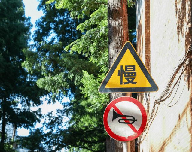 张晋蔡少芬上海街头,张晋蔡少芬上海游