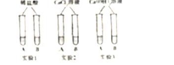 2020年中考化学必考选择题知识点,2018年中考化学试卷题