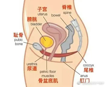 想让皮肤紧致光滑应该做什么项目,产后紧致皮肤的最好方法