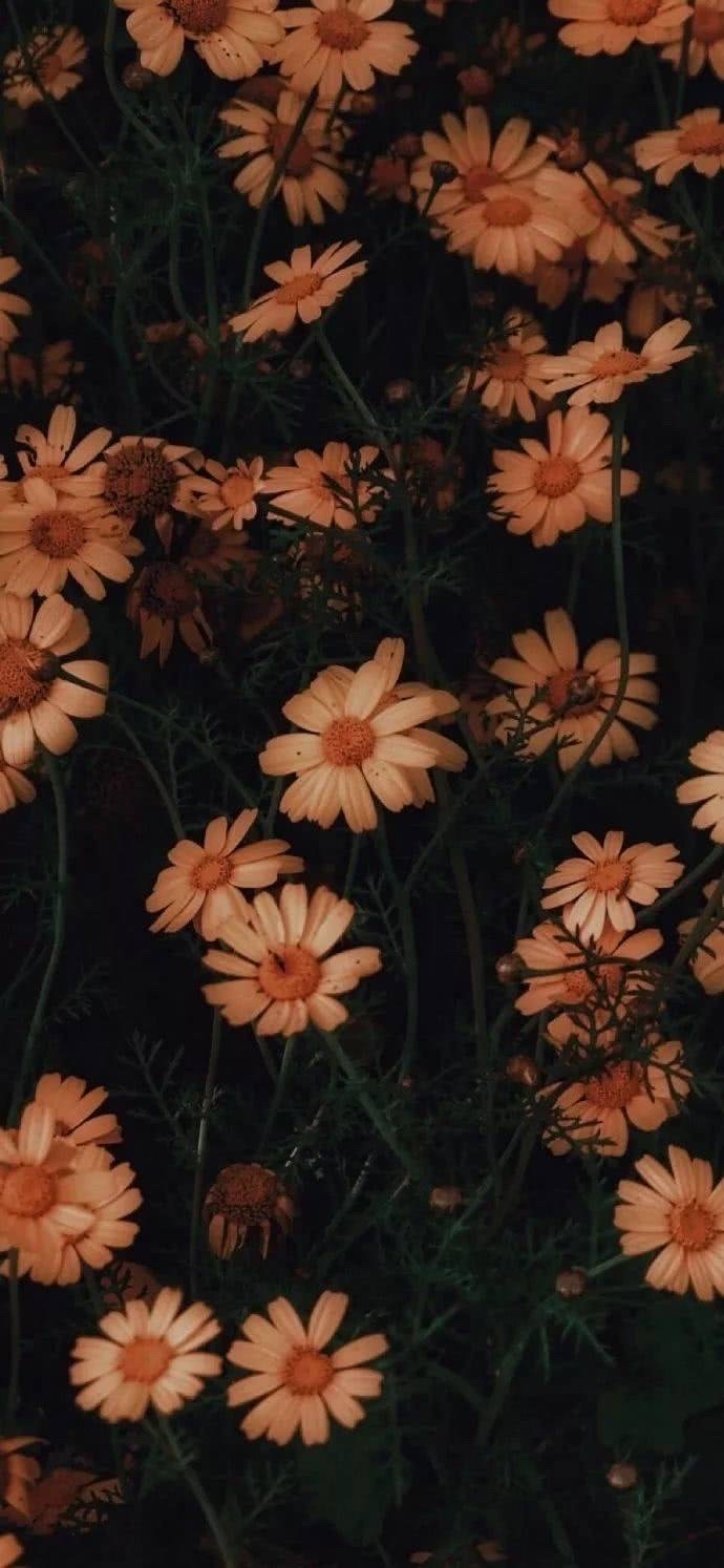 好看的微信聊天背景图男生,微信聊天背景图超清苹果