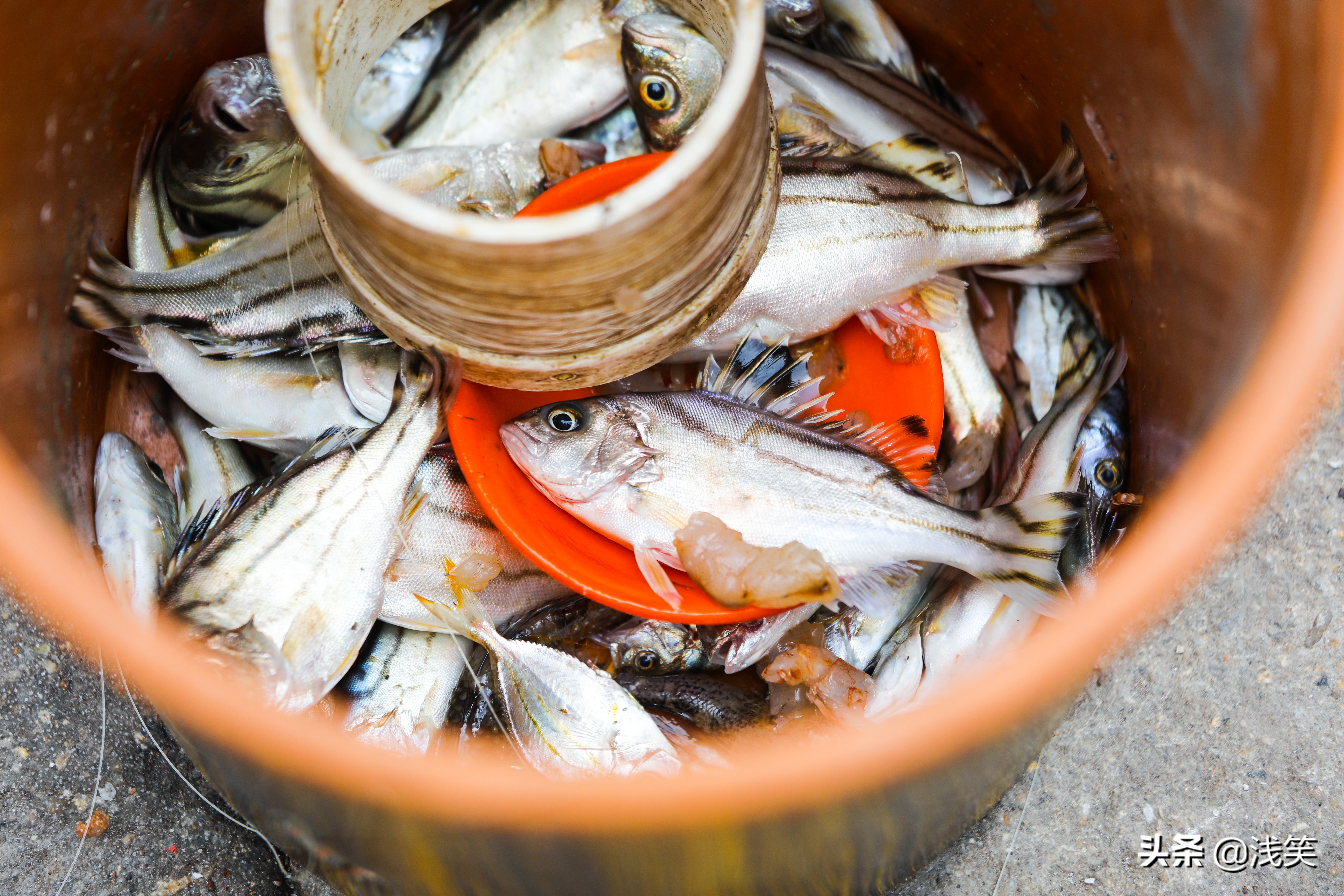 要看懂*江阳**，请走进渔村，这两个地方有意思