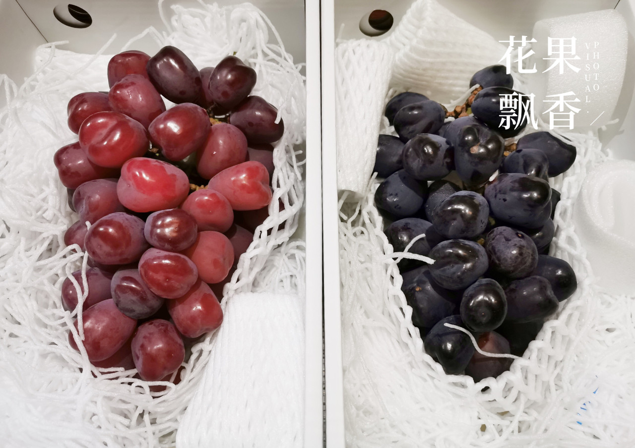 原来，日本果业是一个精致的、被JA溺宠的“老宅男”