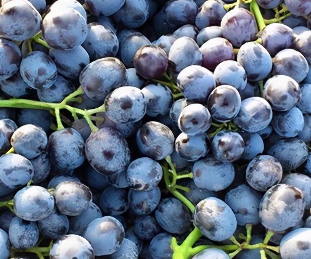 最全新疆各地水果农副产品特产,最全新疆特产店