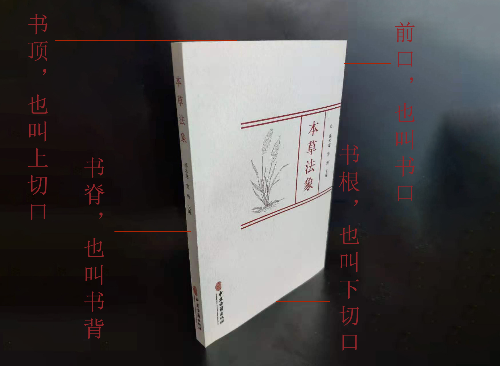 书都由哪些部分组成图,你知道书是由哪些部分组成图片