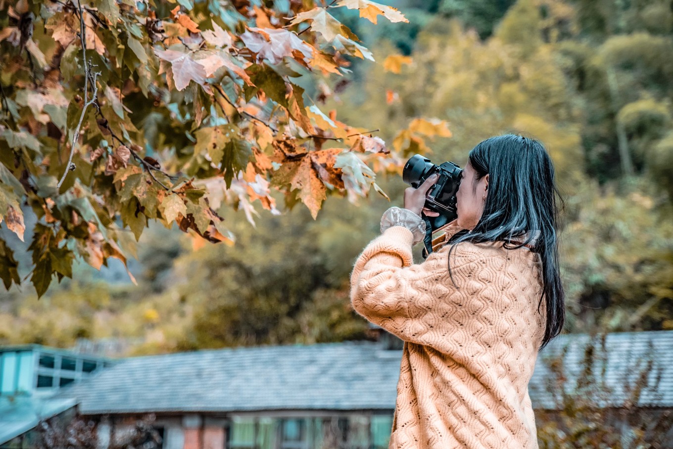 到安徽旅游景点,到安徽六安旅游
