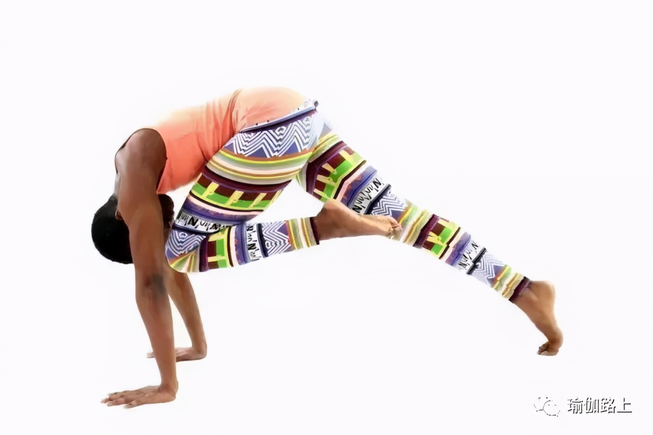 核心肌群训练10个经典动作,初学者必须掌握的10个瑜伽体式