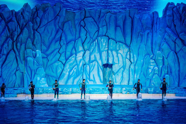 珠海长隆旅游攻略一天自由行,珠海长隆旅游攻略三天自由行