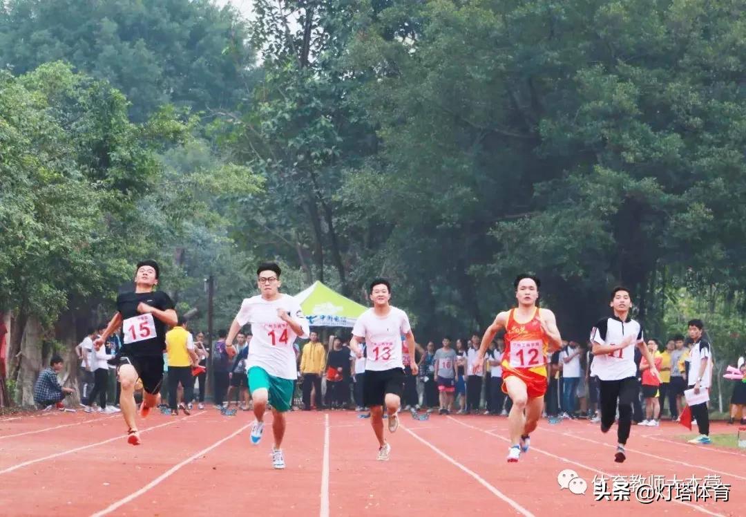 体育教师训练教学总结与体会,体育教师课后总结20篇简短