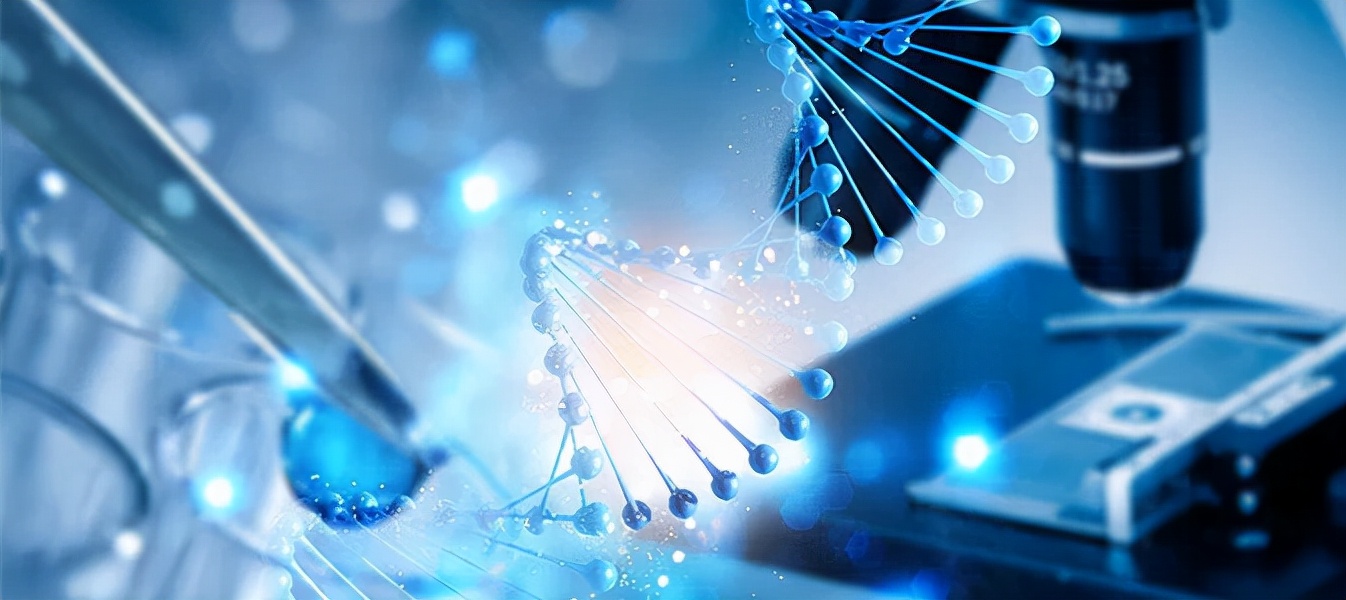 及第留学解析美国留学生物医学工程（BME）/生物工程（BE）申请